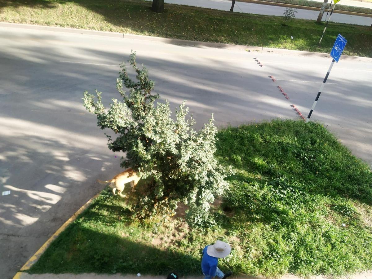 קוסקו Las Dalias מראה חיצוני תמונה